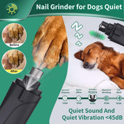 2-in-1 Rechargeable Pet Nail Clippers & Grinder with LED Light