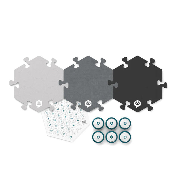 Pet Communication Button Starter Kit – Speak Up Training Set for Dogs & Cats