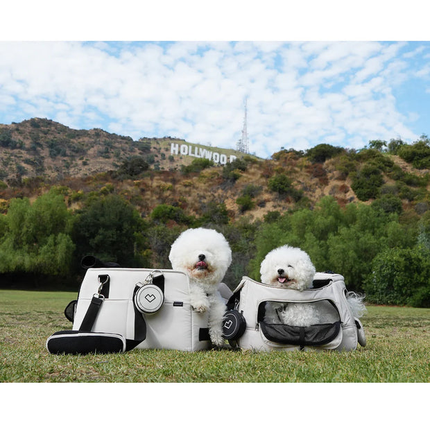 Pet Carrier Travel Bag