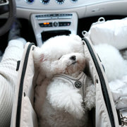 Pet Carrier Travel Bag